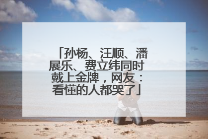 孙杨、汪顺、潘展乐、费立纬同时戴上金牌，网友：看懂的人都哭了