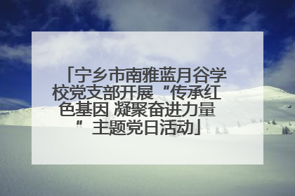 宁乡市南雅蓝月谷学校党支部开展“传承红色基因 凝聚奋进力量”主题党日活动
