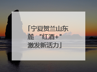 宁夏贺兰山东麓 “红酒+”激发新活力