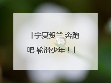 宁夏贺兰 奔跑吧 轮滑少年！