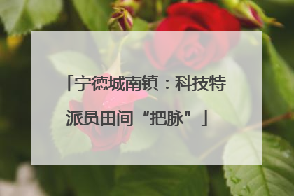 宁德城南镇：科技特派员田间“把脉”
