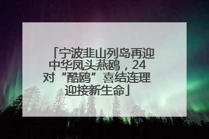 宁波韭山列岛再迎中华凤头燕鸥，24对“酷鸥”喜结连理迎接新生命