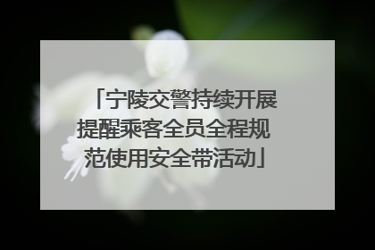 宁陵交警持续开展提醒乘客全员全程规范使用安全带活动