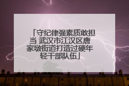 守纪律强素质敢担当 武汉市江汉区唐家墩街道打造过硬年轻干部队伍
