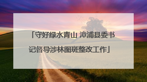 守好绿水青山 漳浦县委书记督导涉林图斑整改工作