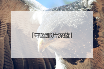 守望那片深蓝