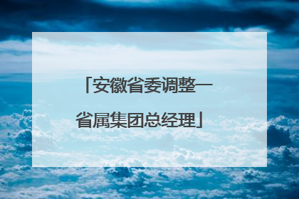 安徽省委调整一省属集团总经理