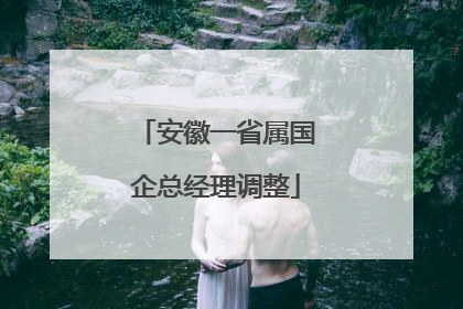 安徽一省属国企总经理调整