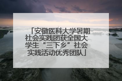 安徽医科大学暑期社会实践团获全国大学生“三下乡”社会实践活动优秀团队