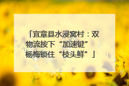 宜章县水浸窝村：双物流按下“加速键” 杨梅锁住“枝头鲜”