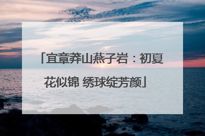 宜章莽山燕子岩：初夏花似锦 绣球绽芳颜