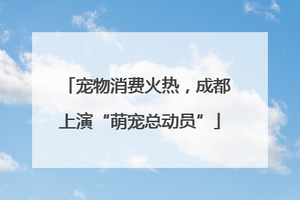 宠物消费火热，成都上演“萌宠总动员”