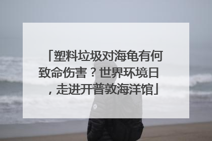 塑料垃圾对海龟有何致命伤害？世界环境日，走进开普敦海洋馆