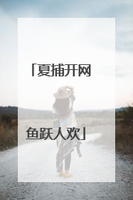 夏捕开网 鱼跃人欢