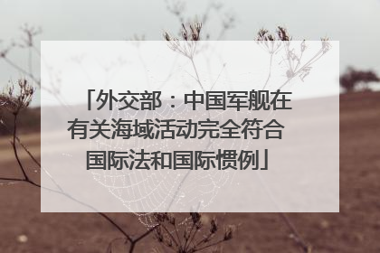 外交部：中国军舰在有关海域活动完全符合国际法和国际惯例