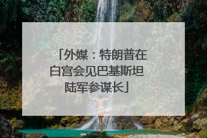 外媒：特朗普在白宫会见巴基斯坦陆军参谋长