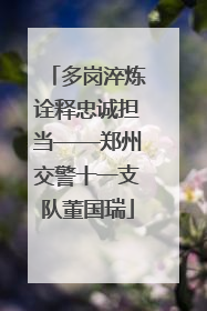 多岗淬炼诠释忠诚担当——郑州交警十一支队董国瑞