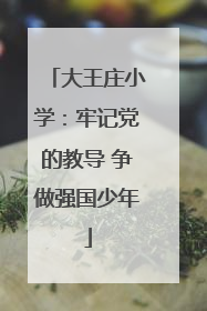 大王庄小学：牢记党的教导 争做强国少年