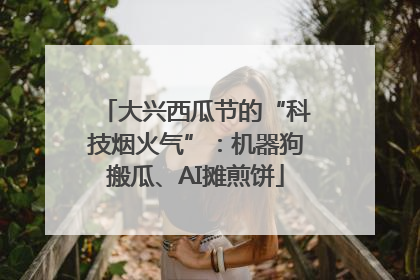 大兴西瓜节的“科技烟火气”：机器狗搬瓜、AI摊煎饼