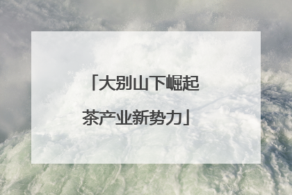 大别山下崛起茶产业新势力