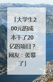 大学生200元的成本干了20亿的项目？网友：羡慕了