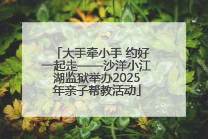 大手牵小手 约好一起走——沙洋小江湖监狱举办2025年亲子帮教活动