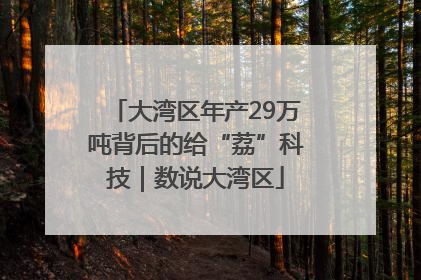 大湾区年产29万吨背后的给“荔”科技｜数说大湾区