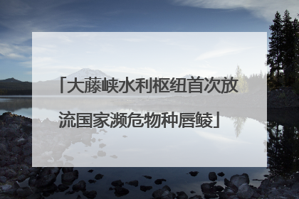 大藤峡水利枢纽首次放流国家濒危物种唇鲮