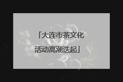 大连市茶文化活动高潮迭起