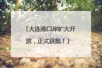 大连港口岸扩大开放，正式获批！
