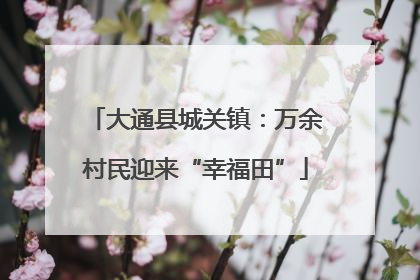 大通县城关镇：万余村民迎来“幸福田”