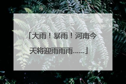 大雨！暴雨！河南今天将迎雨雨雨……