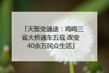 天堑变通途：鸡鸣三省大桥通车五载 改变40余万民众生活
