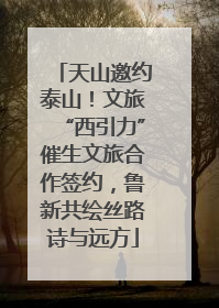 天山邀约泰山！文旅“西引力”催生文旅合作签约，鲁新共绘丝路诗与远方