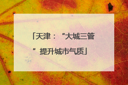 天津：“大城三管”提升城市气质