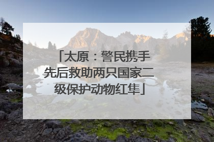 太原：警民携手 先后救助两只国家二级保护动物红隼