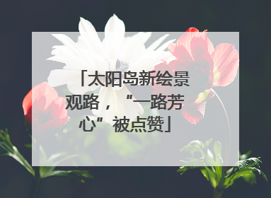 太阳岛新绘景观路，“一路芳心”被点赞