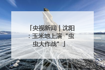 央视新闻｜沈阳：玉米地上演“虫虫大作战”