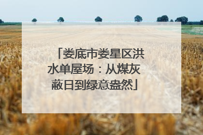 娄底市娄星区洪水单屋场：从煤灰蔽日到绿意盎然