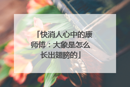 快消人心中的康师傅：大象是怎么长出翅膀的