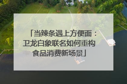 当辣条遇上方便面：卫龙白象联名如何重构食品消费新场景