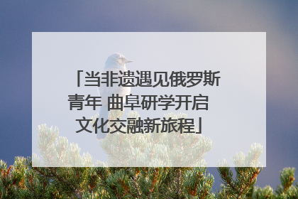 当非遗遇见俄罗斯青年 曲阜研学开启文化交融新旅程