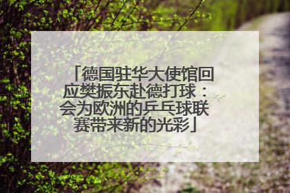 德国驻华大使馆回应樊振东赴德打球：会为欧洲的乒乓球联赛带来新的光彩