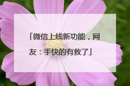 微信上线新功能，网友：手快的有救了