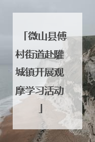 微山县傅村街道赴驩城镇开展观摩学习活动