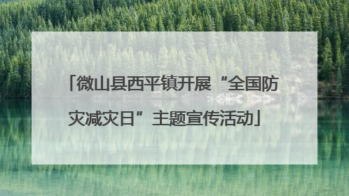 微山县西平镇开展“全国防灾减灾日”主题宣传活动