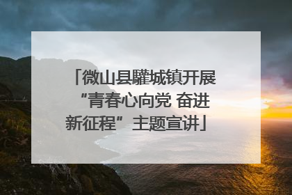 微山县驩城镇开展“青春心向党 奋进新征程”主题宣讲