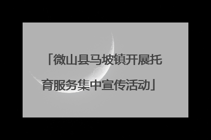 微山县马坡镇开展托育服务集中宣传活动