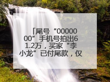 尾号“0000000”手机号拍出61.2万，买家“李小龙”已付尾款，仅享有使用权