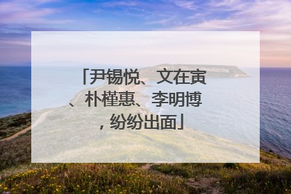 尹锡悦、文在寅、朴槿惠、李明博，纷纷出面
